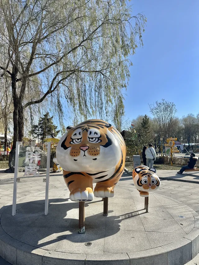 哈爾濱東北虎林園半日遊！！（內含攻略）