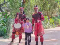 普通票廣州長隆大馬戲C位攻略