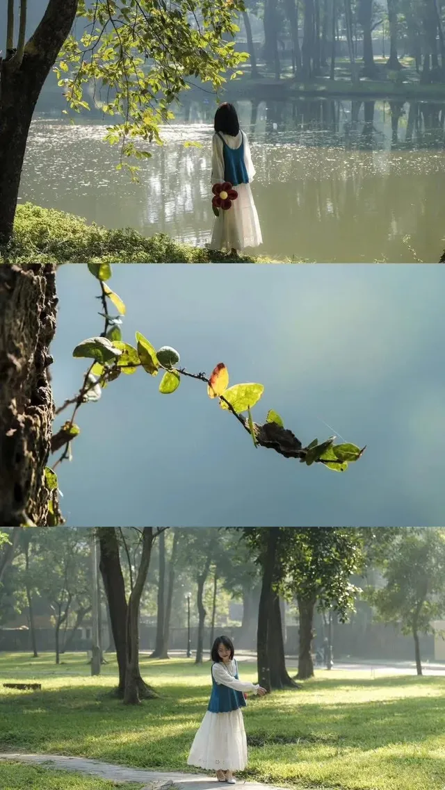 河內小眾秘境|藏在市中心的「綠野仙蹤」森林 河內小眾秘境|藏在市中心的「綠野仙蹤」森林