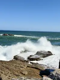 南非｜赫曼努斯-世界最佳陸地觀鯨地