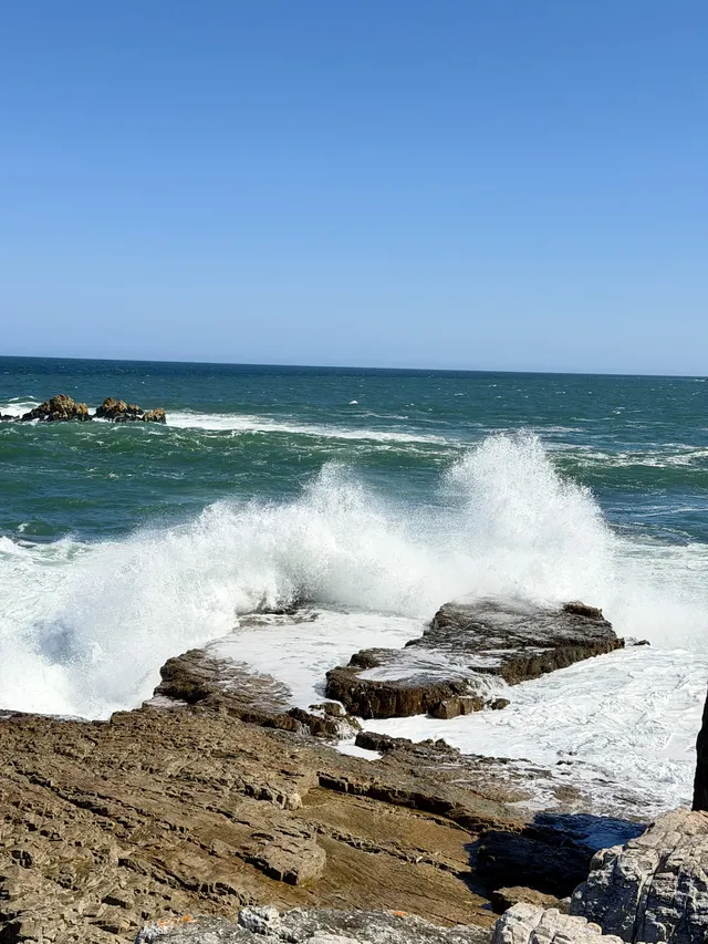 南非｜赫曼努斯-世界最佳陸地觀鯨地