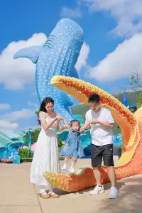 不到 150 找的珠海長隆跟拍踩雷了嗎?