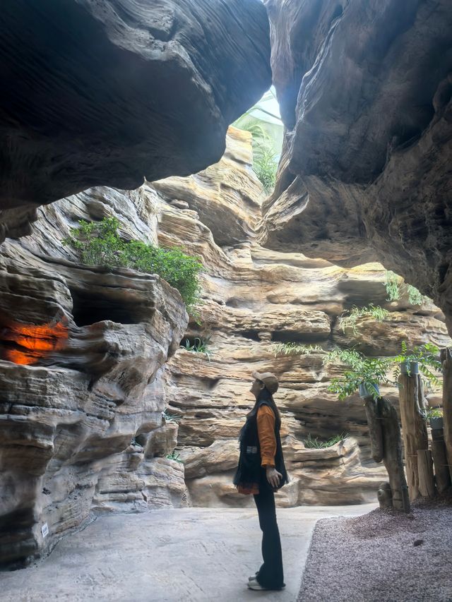 魔都打卡日記世博溫室花園+3號倉庫美食探店 魔都打卡日記世博溫室花園+3號倉庫美食探店