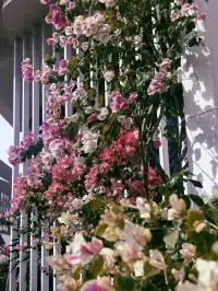 泉州|悄悄分享一個沒有人知道的絕美角落