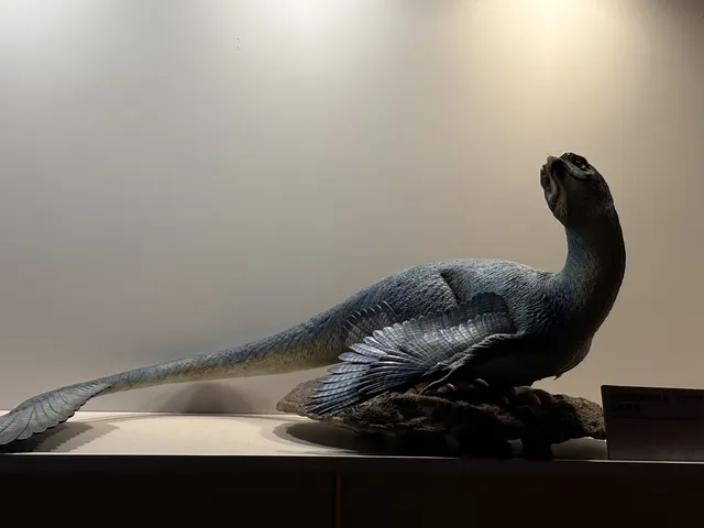 恐龍展抽獎只剩最後1天,衝啊! 恐龍展抽獎只剩最後1天,衝啊!