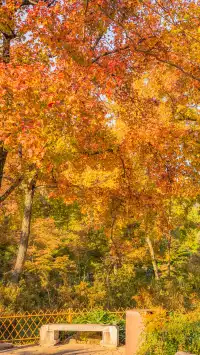 答應我!秋天一定要來一次天平山附攻略