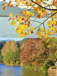 【西昌｜闖入春天最早抵達的城市，在藍花楹與邛海邊做個夢】