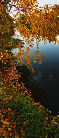 夕陽映照下的歐式建築構成的絕美風景