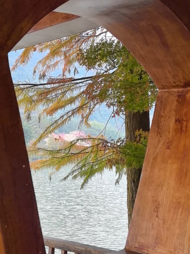 柳州初體驗，愛了愛了