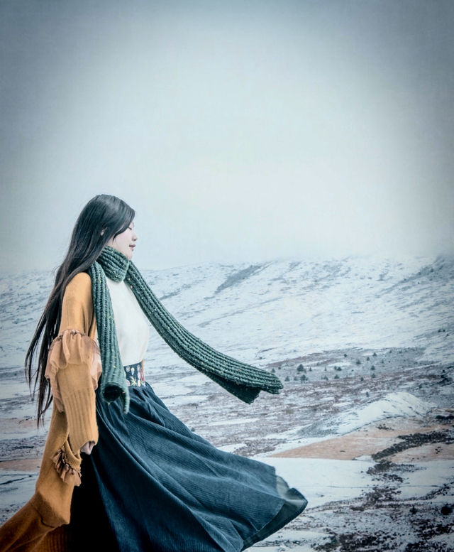 自駕川西一場大雪,川西有了冬日氛圍 自駕川西一場大雪,川西有了冬日氛圍