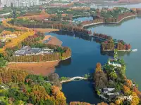 快衝!聽濤的彩林已經美到詞窮!