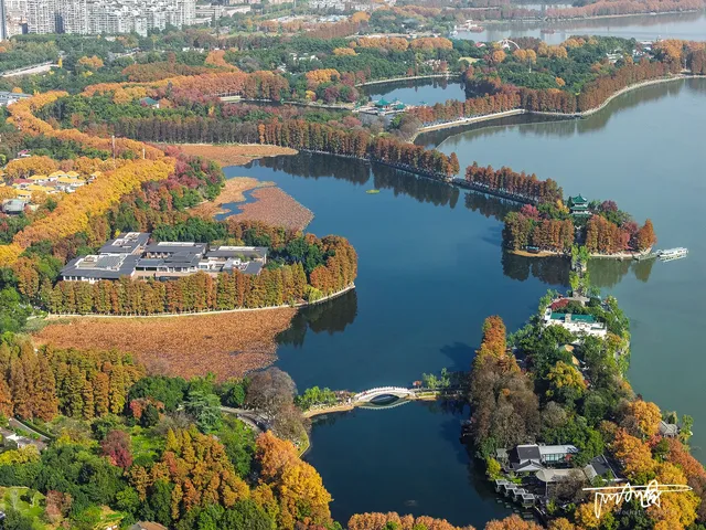 快衝!聽濤的彩林已經美到詞窮! 快衝!聽濤的彩林已經美到詞窮!