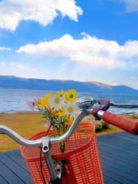 每個冬天都想去的,除了大理,還有…