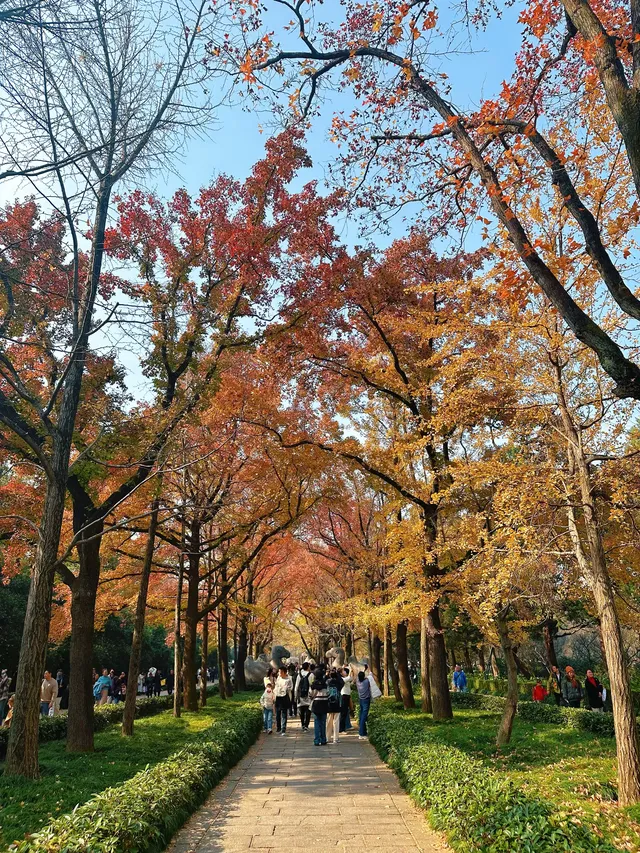 賞秋最美南京|鐘山風景區一天遊 賞秋最美南京|鐘山風景區一天遊