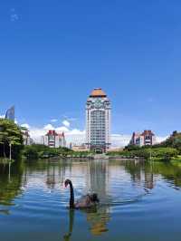 廈門1日遊|包車出行超省心攻略