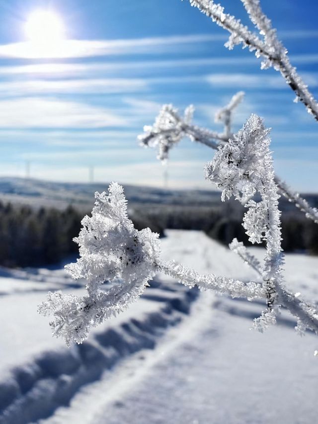 冬日烏蘭布統冰雪攻略 冬日烏蘭布統冰雪攻略