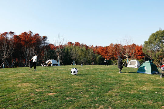上海新的橫沔公園,開園3天遊客量破萬 上海新的橫沔公園,開園3天遊客量破萬