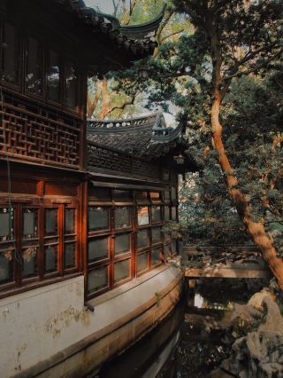 Ancient Bridge Fish Viewing and Photography Guide