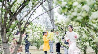 洽洽春のピクニックシーズン合肥ステーション募集開始
