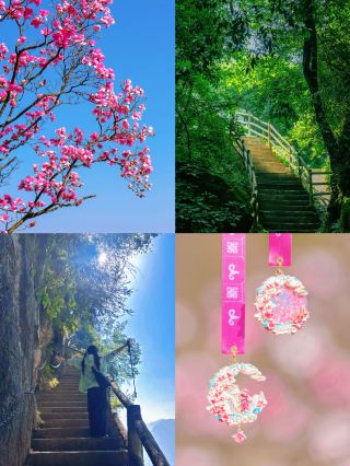 成都周辺の花見＋メダル特典、今行かないと遅い！！！