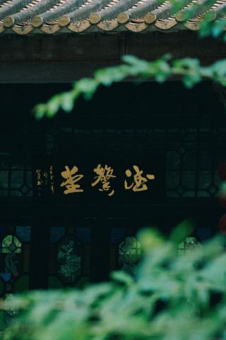 陰の日に幽玄を求めて|陰天の嶺南庭園没入型観光ガイド