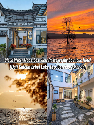 Dali 8.7 Torch Festival｜Complete guide to Haixi seaside homestay adventures