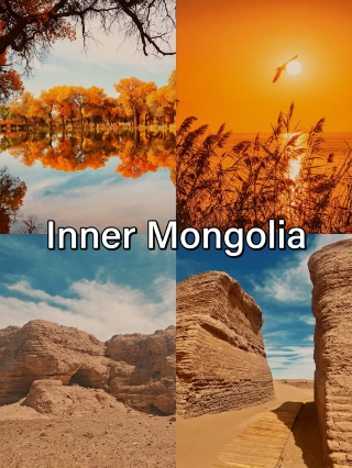 3,000-year-old desert poplars, a black city, and the waters of Juyan Lake