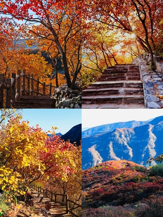 北京9-10月封神這五個賞秋地不去真的會哭