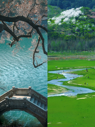 Healing wilderness: these magical meadows are absolutely stunning