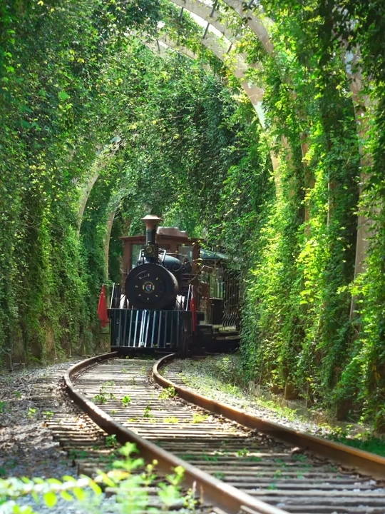 The little train to spring in Huizhou