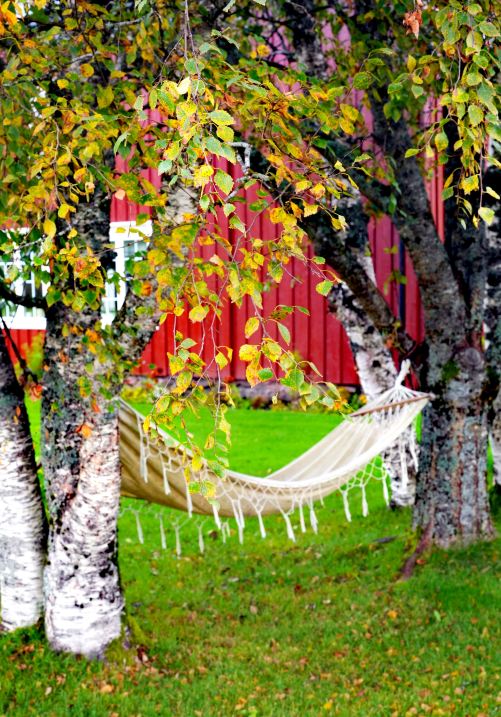 Autumn Journey in the North: Crossing Sea Bridges, Facing the Vast Ocean, Finding Peace in Mountains and Seas
