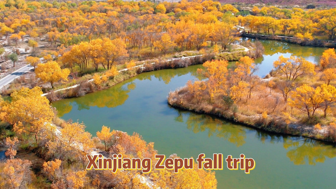 Zepu, Xinjiang in autumn, holds a gentle golden fairy tale of Southern Xinjiang.