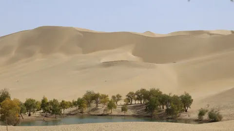 Alam Rahasia Tata - Lop Nur: Alam rahasia yang saya kunjungi berdasarkan daftar tempat yang wajib dikunjungi ini mendapat nilai sempurna dari saya! — traveler post in Bayingolin Mongol Autonomous Prefecture