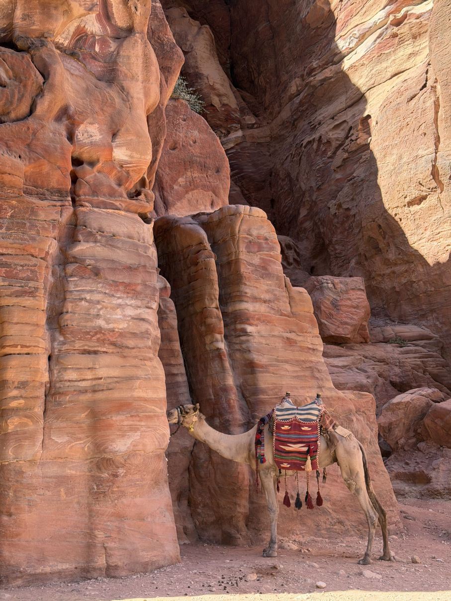 Ultimate 8-Day Jordan Guide with Pitfall-Avoidance Tips