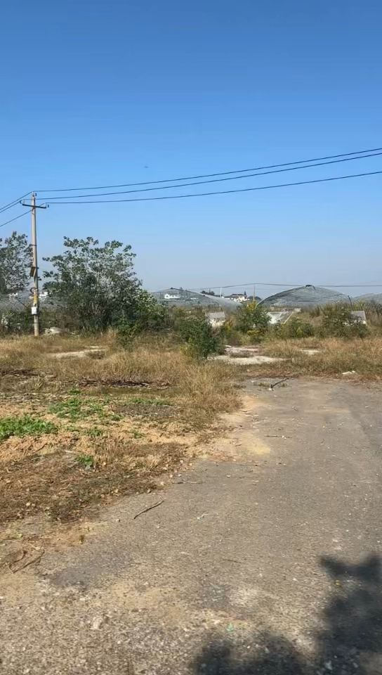 Village  in ZHENJIANG