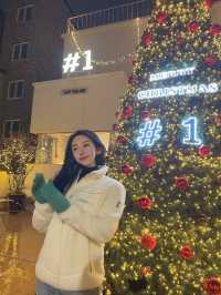 🎄대형트리 맛집 청주 성안길 원탑 카페 #1