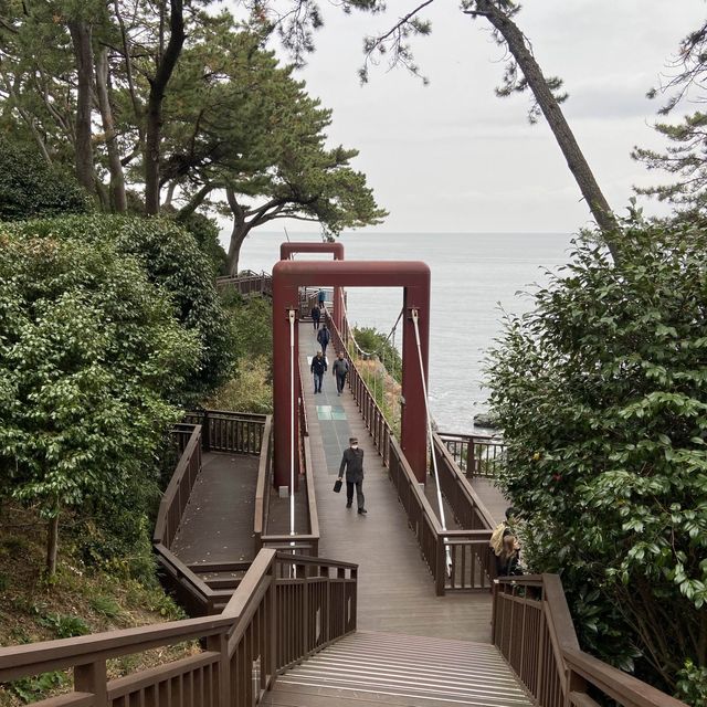 부산 야외 가볼만한곳 동백섬