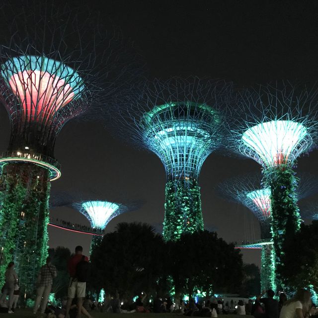 🌳新加坡的空中花園🌿