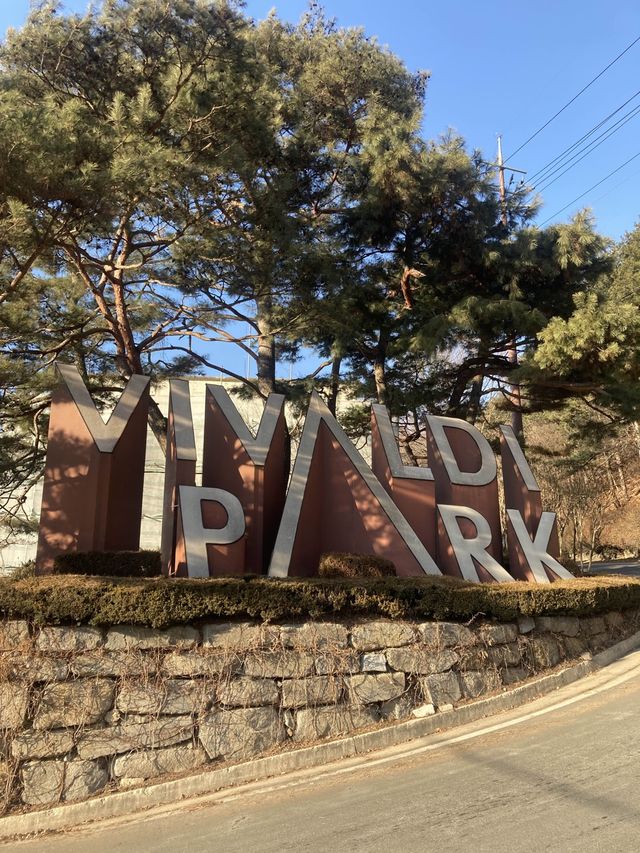 홍천 스키장 추천