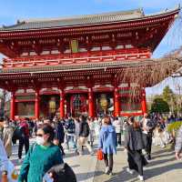 東京景點，淺草寺雷門&五重塔