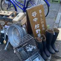 レトロな街並みが素敵な谷中ぎんざ