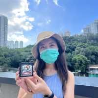 至潮佛誕市集活動震撼登場！現場近80檔攤檔帶你體驗佛系假期！