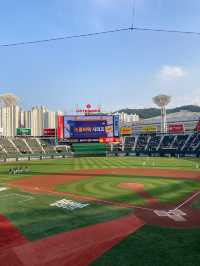 부산 열기 가득한 이색데이트 추천