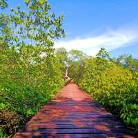 #สะพานแดง ป่าชายเลนบ้านสลักเพชร