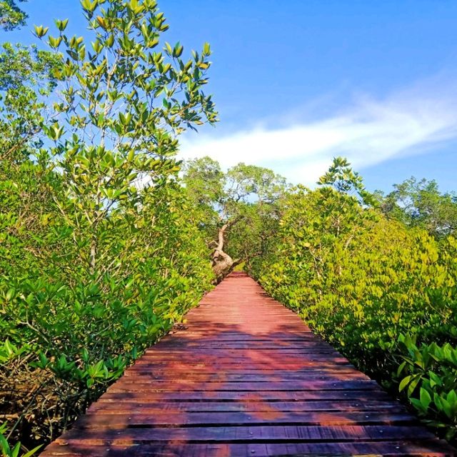 #สะพานแดง ป่าชายเลนบ้านสลักเพชร