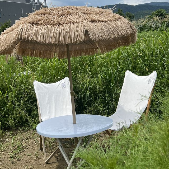 양양 메밀꽃이 예쁜 카페🌿