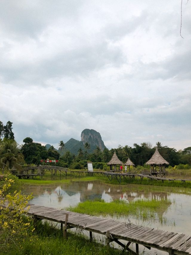 จิบกาแฟกลางทุ่งนา ที่ บิ้งนา คาเฟ่ พัทลุง
