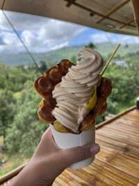 สุขทุกวัน คาเฟ่ท่ามกลางธรรมชาติ☘️🍦☕️