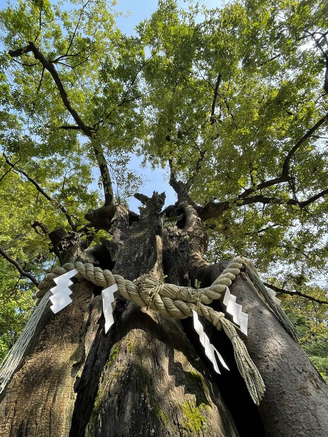 【東京都/新田神社】破魔矢発祥の地、巨大な破魔矢がある神社