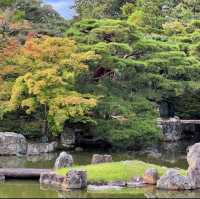時光靜好的桂離宮：京都的日式庭園 🏯🌸🍃